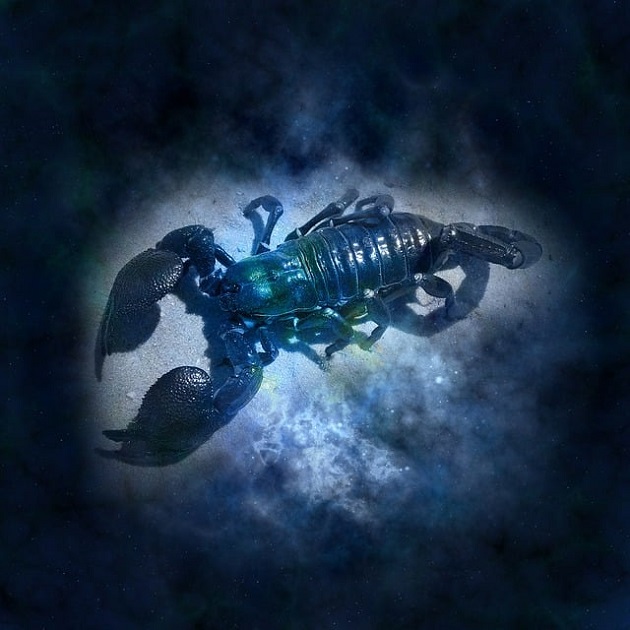 zodia rac într-un fundal albastru