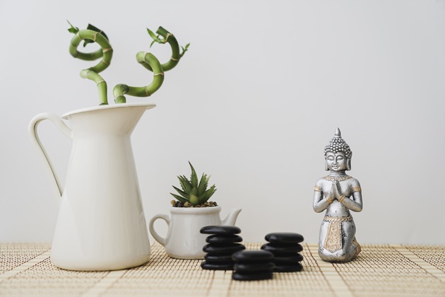 Vaze cu plante și o figura lui Buddha pe un blat de masă