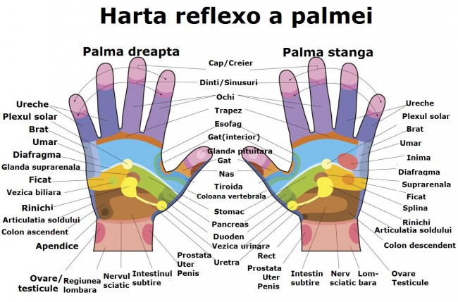 harta reflexo palma