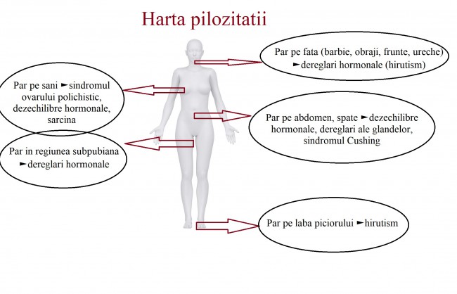 vizual pilozitate