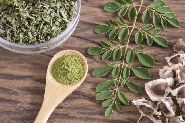 moringa