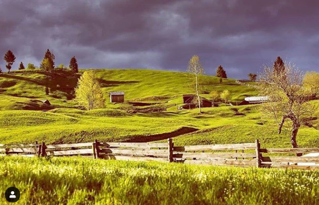 Bucovina 