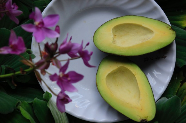 avocado taiat