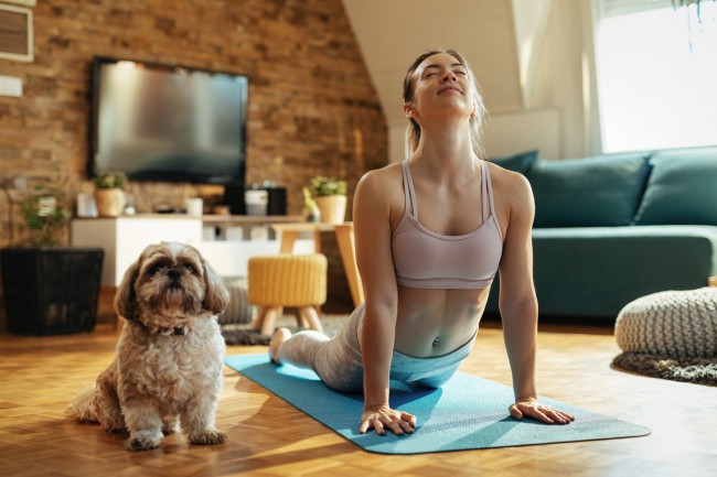 yoga cu caine