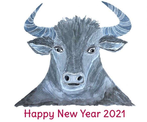 an nou chinezesc 2021 desen cu bivol pe fundal alb