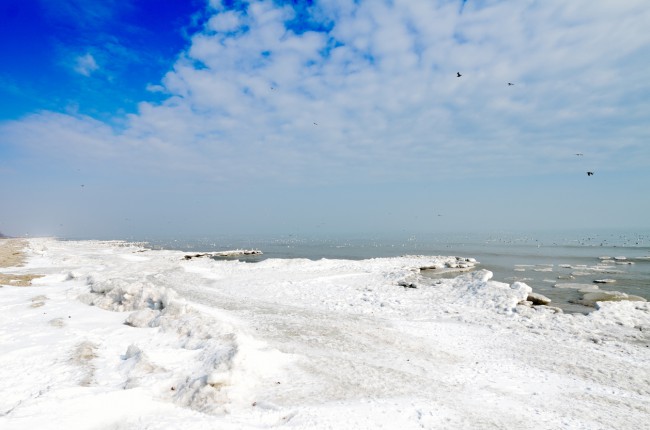 plaja vadu iarna. cer albastru si mare inghetata cu plaja acoperita de zapada