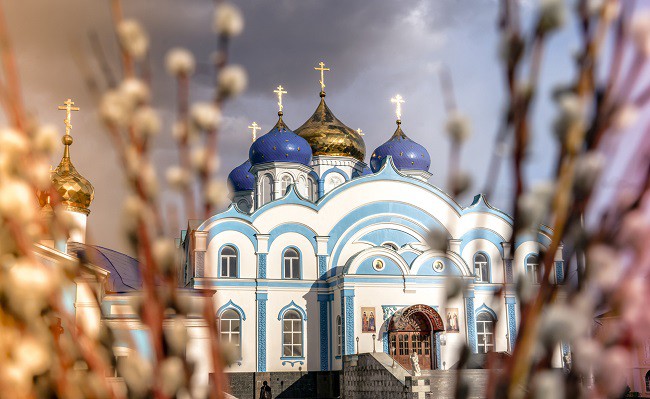 biserica ortodoxa cu turle albastre si aurii in fata se vad ramurile de salcami