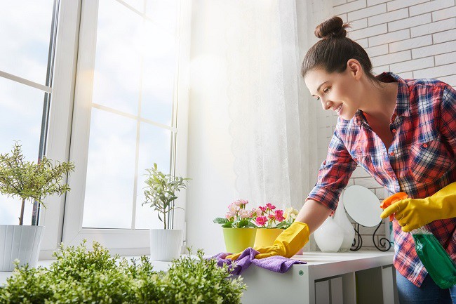 femeie frumoasa si fericita care curata cu laveta in casa alaturi de plante