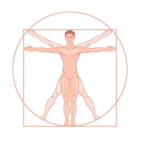 omul vitruvian in tonuri de roz de da vinci