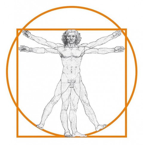 omul vitruvian desen-schema fara adnotatii 