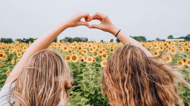fete blonde care se tin de mana in fata unui camp cu floarea soarelui