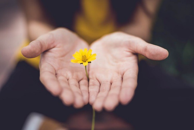 femeie care ofera o floare galbena in palma drept recunostinta