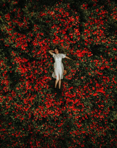 fata care sta intinsa intr-un camp plin cu flori rosii