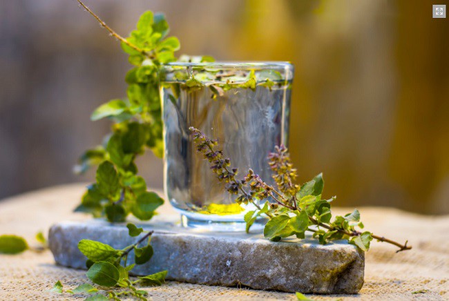 vizual cu frunze de tulsi intr-un pahar cu apa pe o piatra