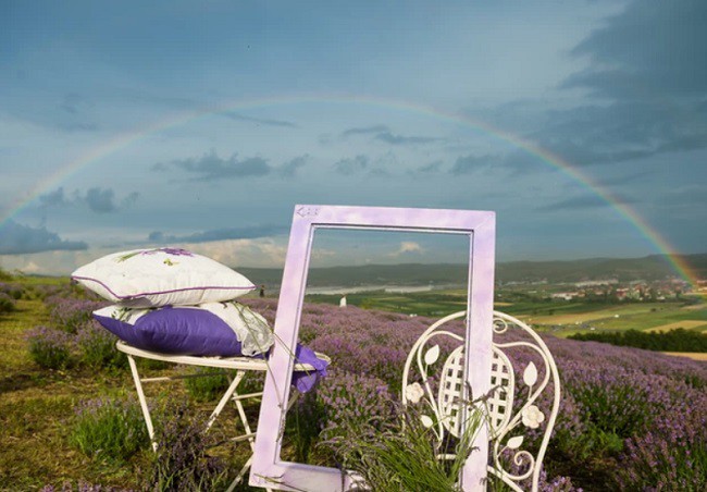 cadru cu car de lemn si rama foto in camp de lavanda