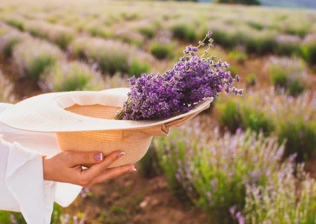 femeie care tine intr-o palarie de paie lavanda