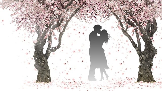 cuplu care se saruta sub copaci infloriti pe fundal alb