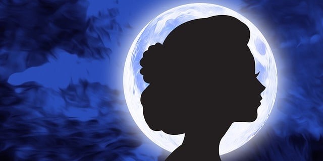 profil de fata cu parul prins in coc desenata pe fundalul lunii pline