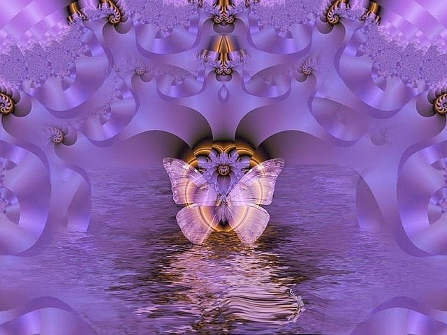 fluture invaluit de o lumina violet