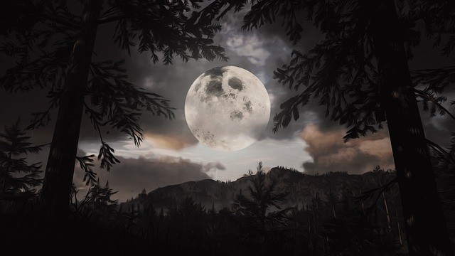 luna plina care se intrevede in spatele unei paduri