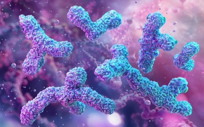 imagine la nivel microscopic cu drojdiile de kefir