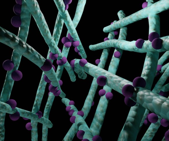 structura moleculara cu retele colorate ale chitosanului