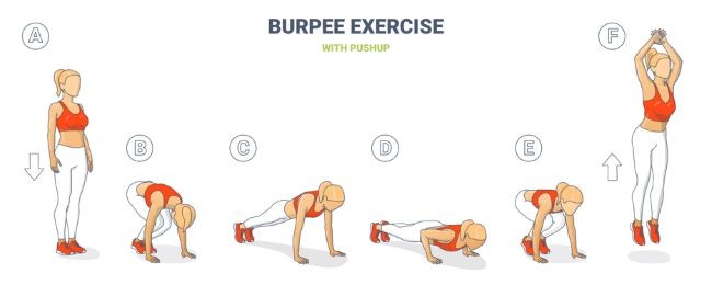 ilustrare cu exercitiul burpee in etape