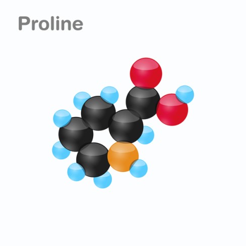 imagine cu structura moleculara colorata a prolinei