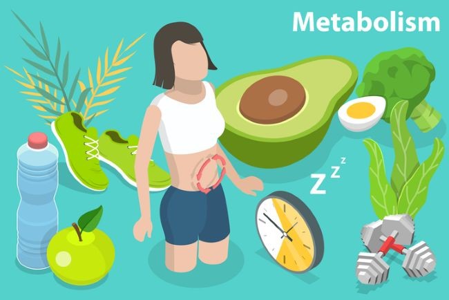 ilustratie cu metabolismul si avocado, greutati, sticla de apa, fructe si legume