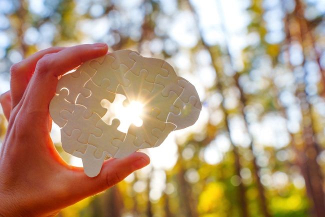 mana de femeie care tine o piesa de puzzle in lumina soarelui intr-o padure
