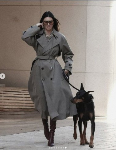 kendall jenner intr-un palton gri alaturi de un caine in lesa