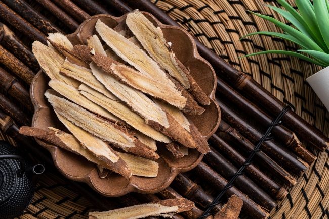 rădăcina lemnoasă de Astragalus pe un suport de lemn alaături de o plantă