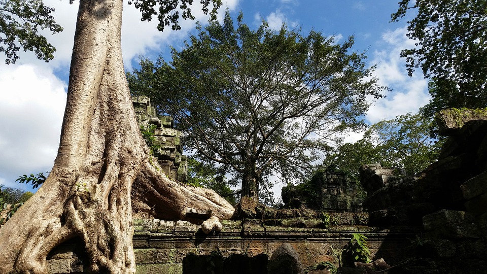 templul Ta Prohm