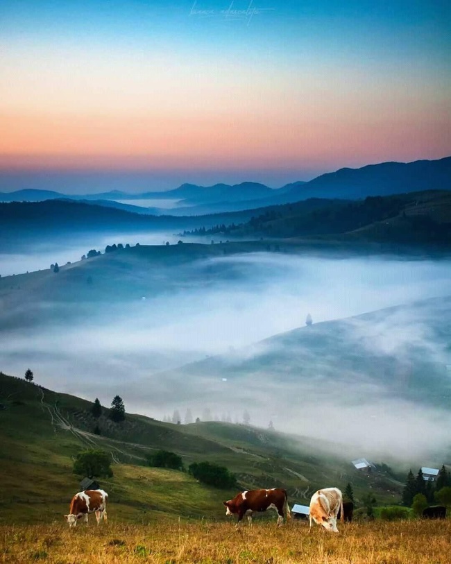 peisaj din Paltiniu Suceava