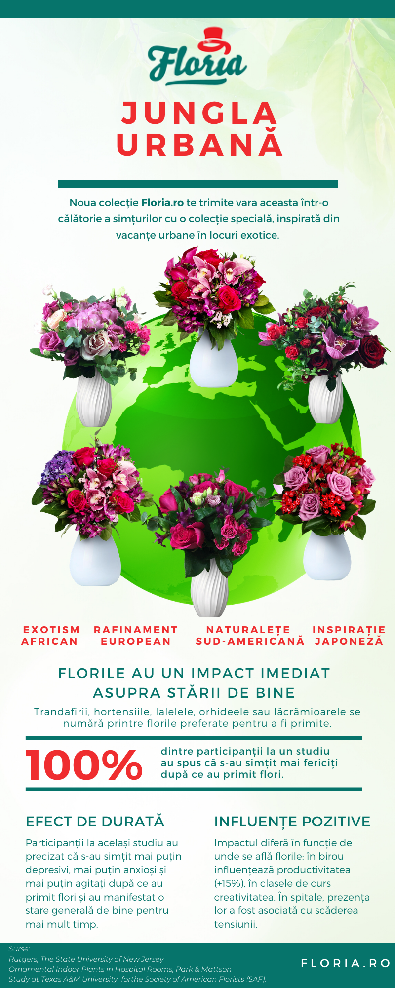 infografic-floria