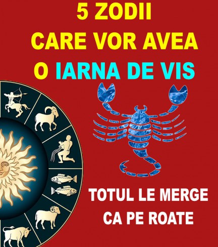 iarna de vis