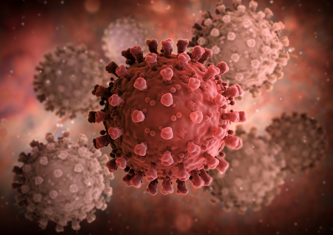 coronavirus