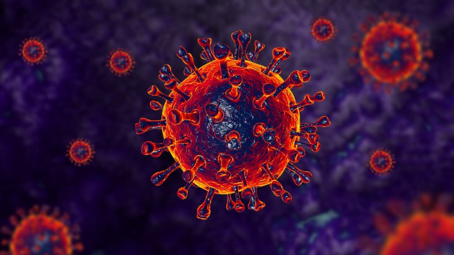 cum reactioneaza organismul la coronavirus
