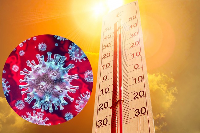 temperatura coronavirus