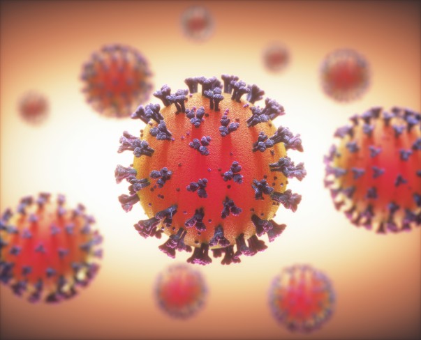 coronavirus