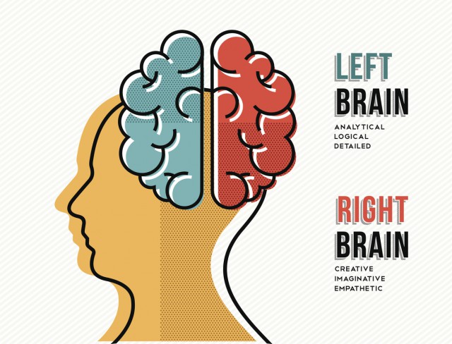 diferente intre emisfera dreapta si emisfera stanga a creierului