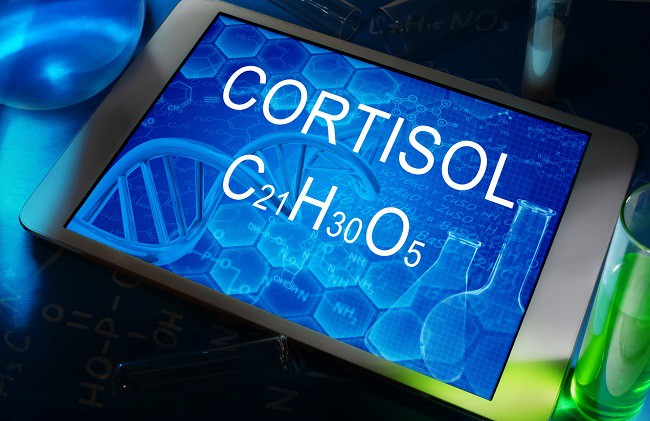 cortizol