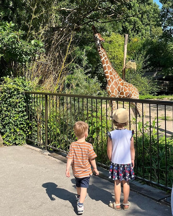 copiii andreei raducan la zoo