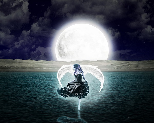 inger cu aripi pe apa luna plina