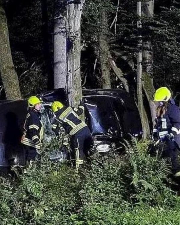 pompieri intr-o padure la un accident la fata locului