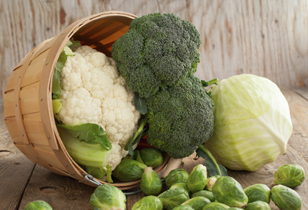 cos cu crucifere varza conopida broccoli varza de bruxelles