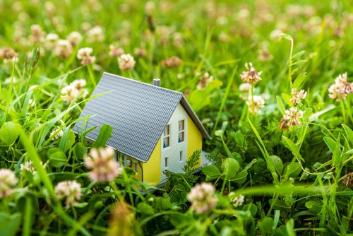 casa in miniatura in iarba