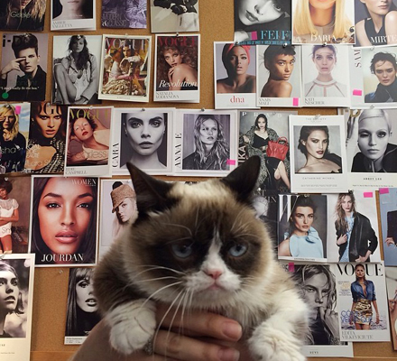 Grumpy Cat in Vogue