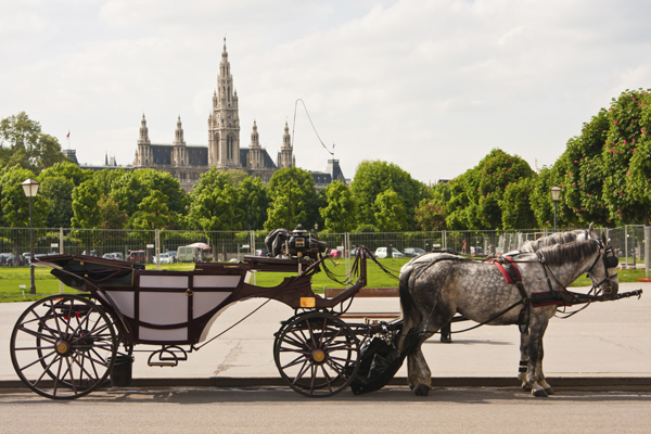 City break la Viena