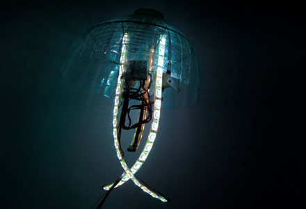 Meduza robot